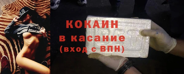 гашик Новодвинск
