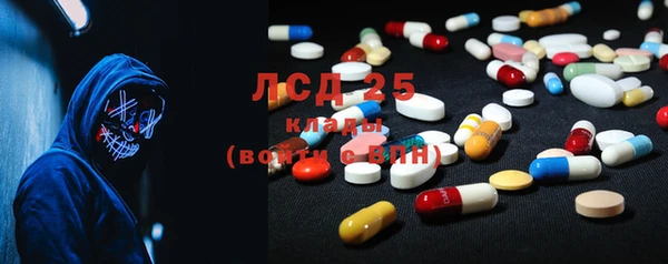 гашик Новодвинск