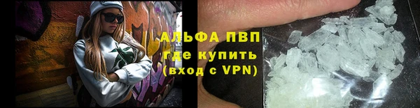 гашик Новодвинск