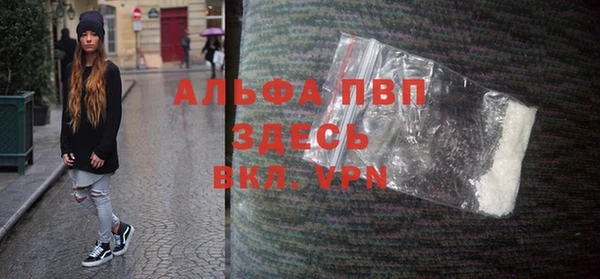 гашик Новодвинск