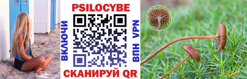 Псилоцибиновые грибы MAGIC MUSHROOMS  купить наркотики цена  Омутнинск 